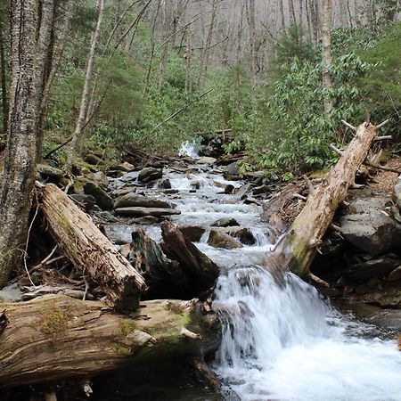 Gorgeous Large Mountain View Cabin W Hot Tub, Free Wifi, Games Villa Sevierville Eksteriør bilde