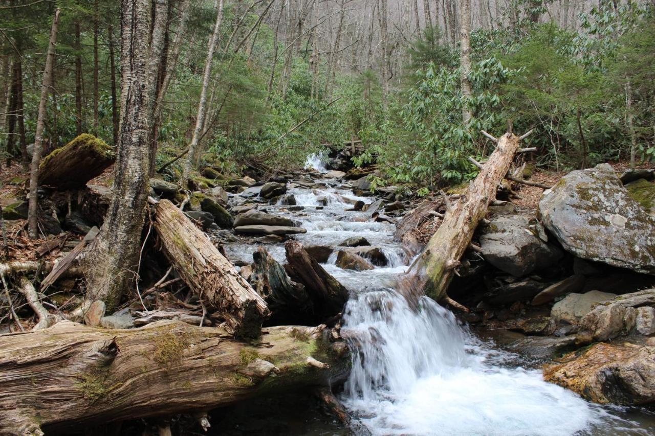 Gorgeous Large Mountain View Cabin W Hot Tub, Free Wifi, Games Villa Sevierville Eksteriør bilde