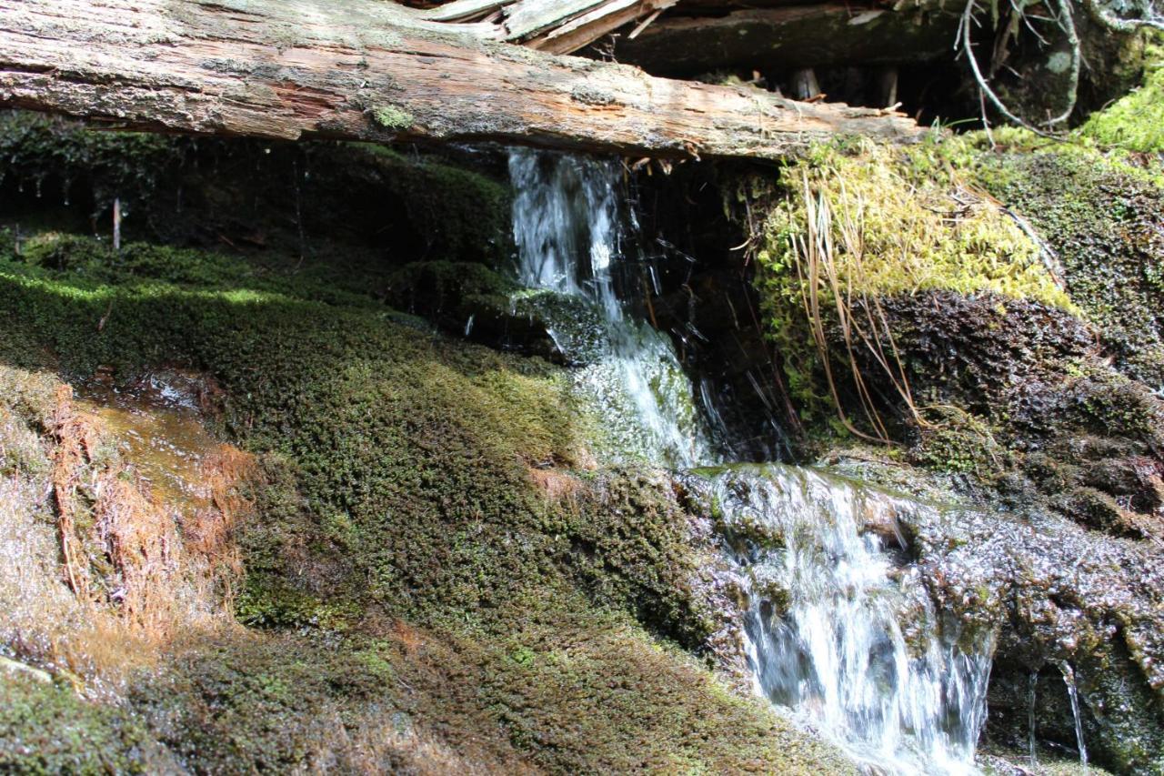 Gorgeous Large Mountain View Cabin W Hot Tub, Free Wifi, Games Villa Sevierville Eksteriør bilde